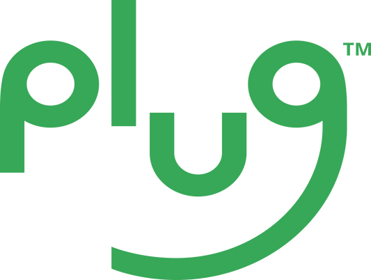 Plug